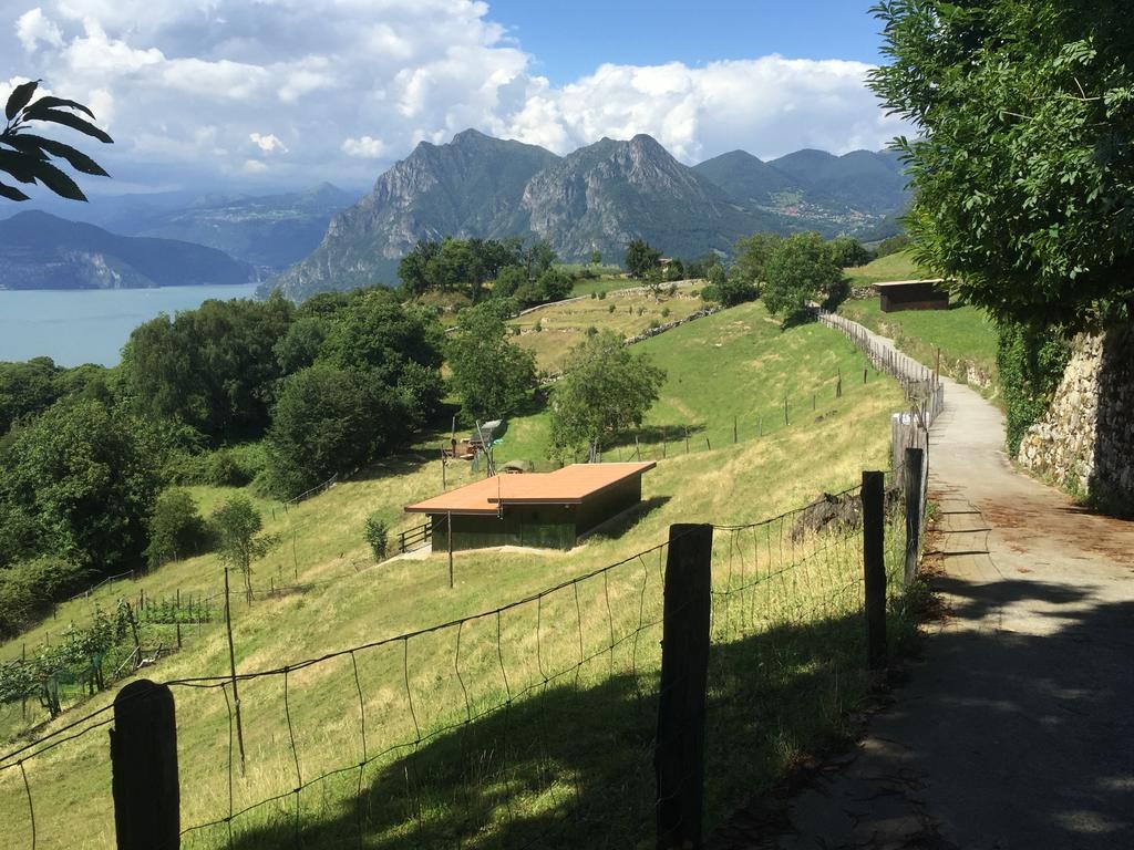 Apartamento L'Isola Dei Sapori Monte Isola Exterior foto